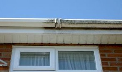 Fascia and Soffits Cleaning.